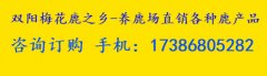 鹿鞭膏在哪里购买比较放心使用【新手选购指南】