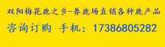 肾阳虚服用鹿鞭丸早上吃还是晚上吃好?