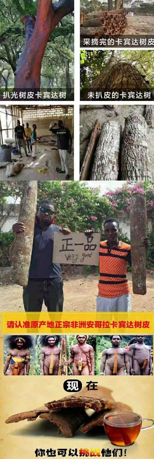正宗非洲安哥拉卡宾达树皮价格多少钱一斤?