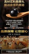 黑龙江鹿鞭膏哪个品牌有国yao准字【男人必看】