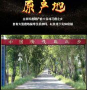 太仓人参鹿鞭肽说明书【值得信赖】